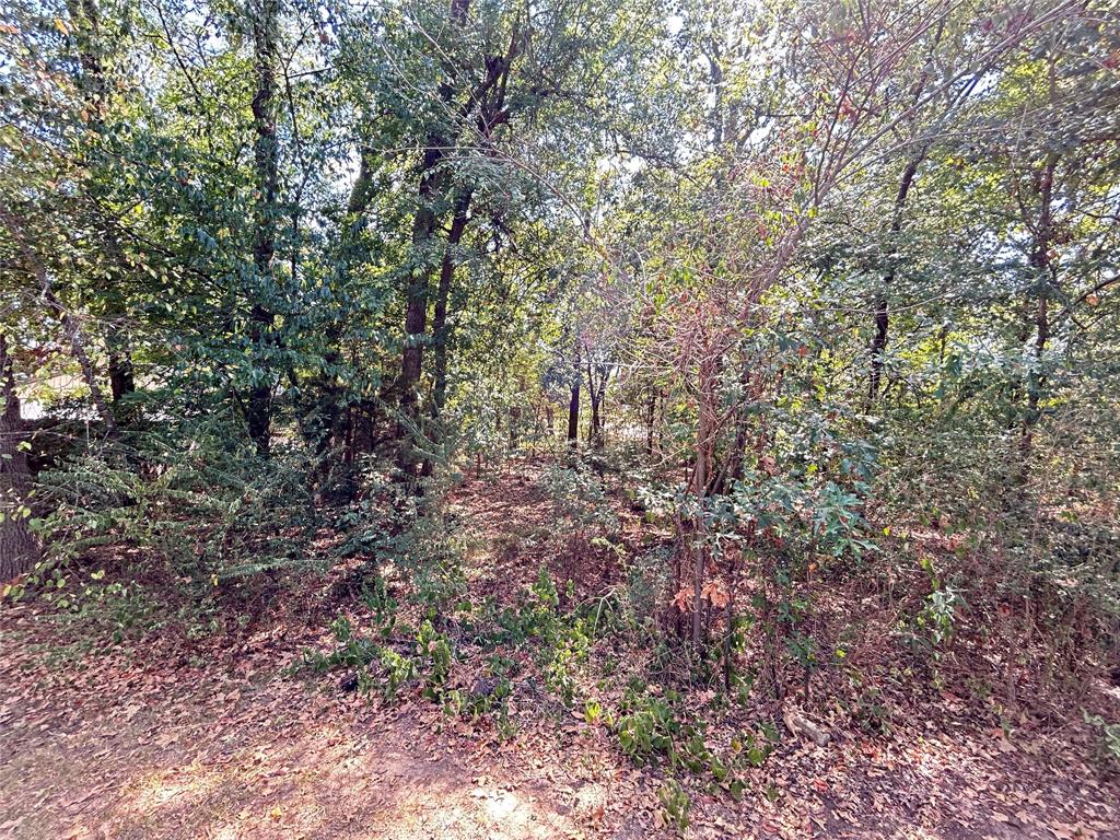 1328 Azalea Drive Property Photo 24