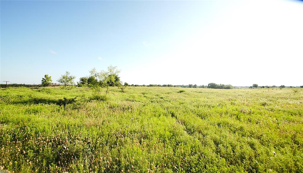 316 Flowing Wells Road Property Photo 10