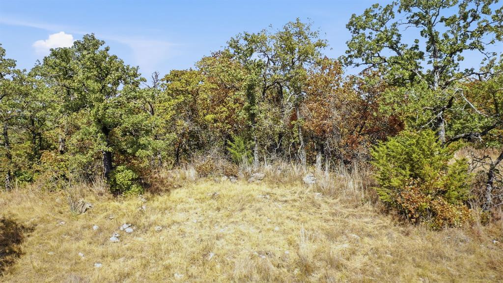 000 Red Oak Hills Road Property Photo 8