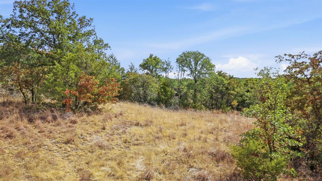 000 Red Oak Hills Road Property Photo 9