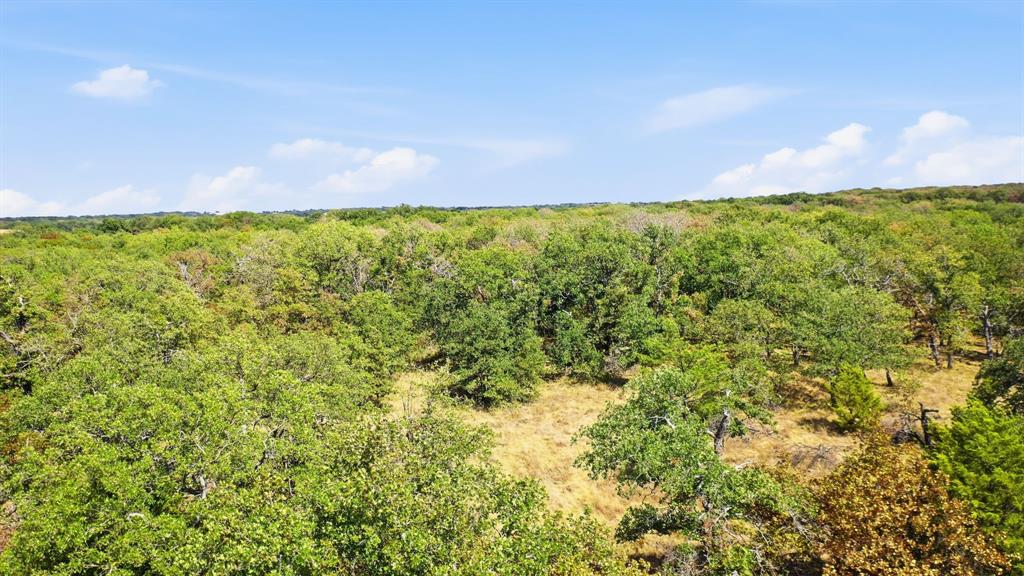 000 Red Oak Hills Road Property Photo 10