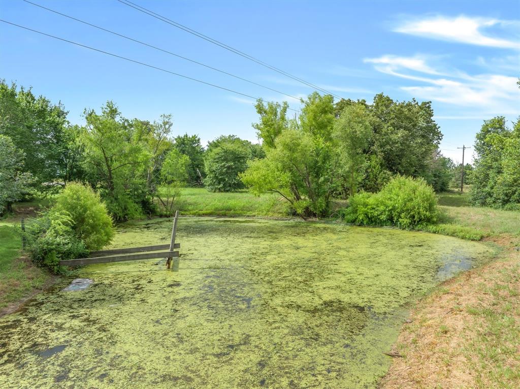 11286 Fm 17 Property Photo 6