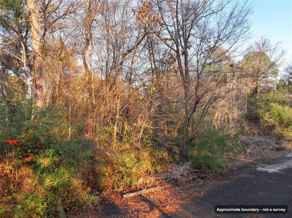 144 Circle Drive Property Photo 11