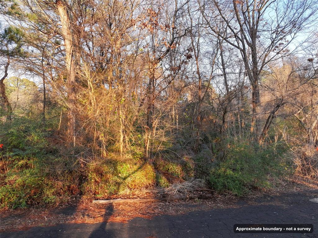 144 Circle Drive Property Photo 13