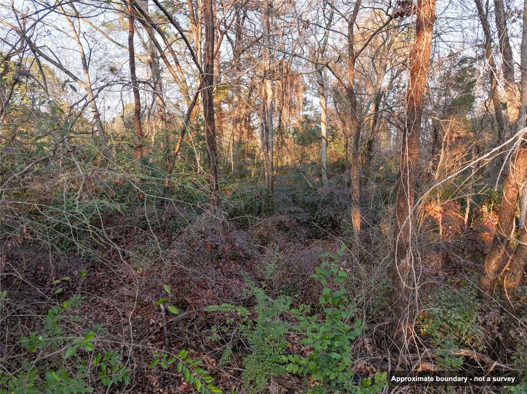 144 Circle Drive Property Photo 14