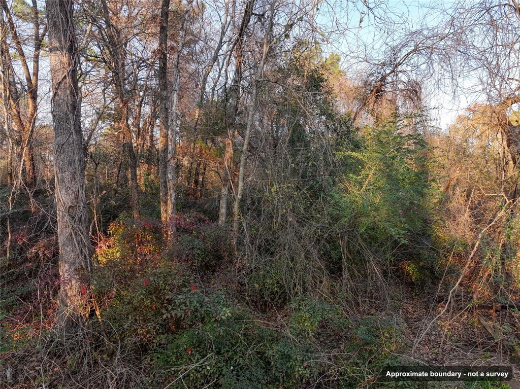144 Circle Drive Property Photo 15