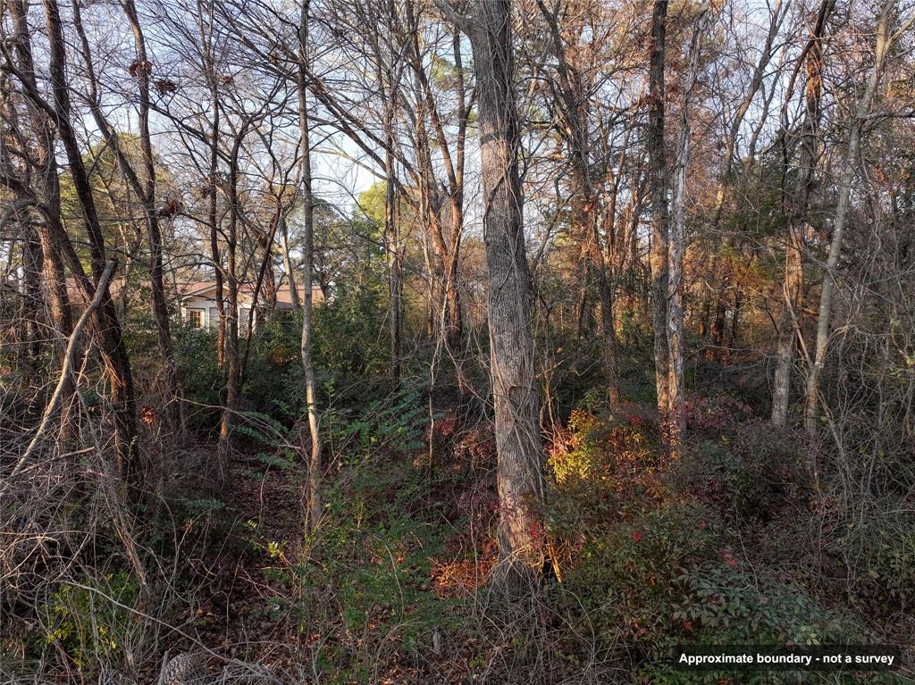 144 Circle Drive Property Photo 17