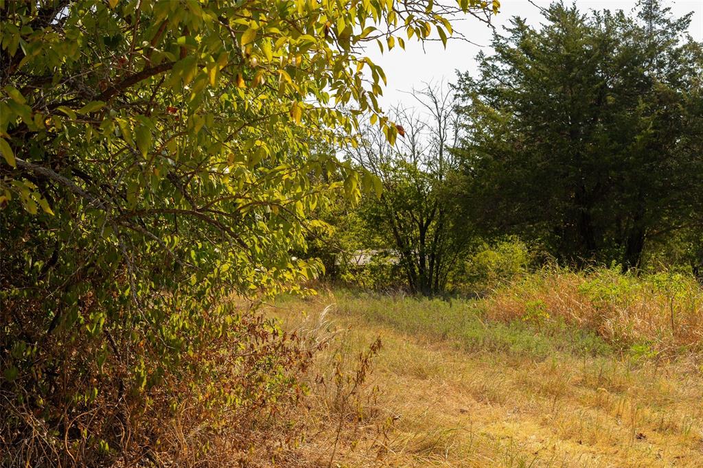 4 Acres Tipps Lane Property Photo 6