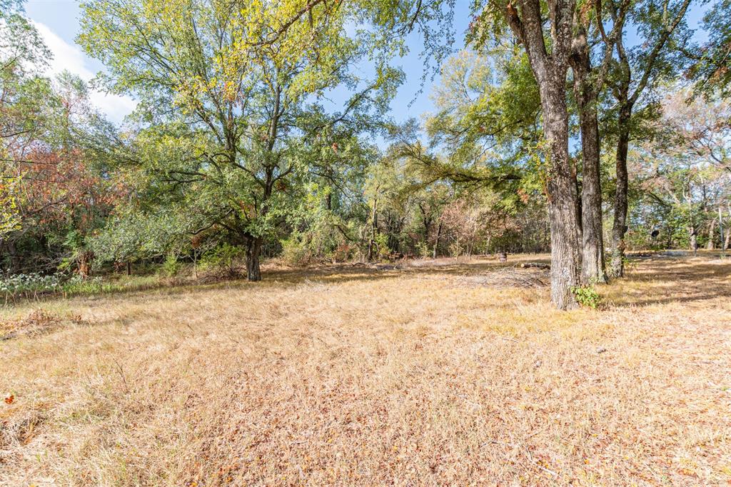 0000 Hwy 276 Property Photo 36