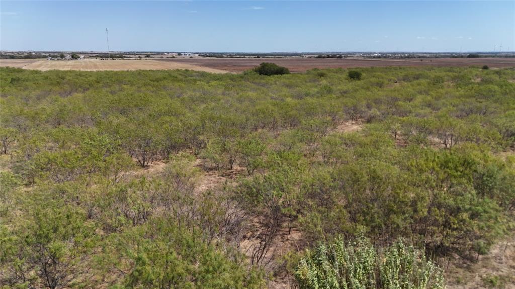 Tbd County Road 3230 Property Photo 1