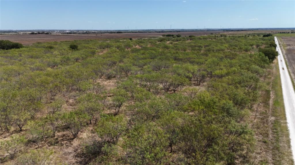 Tbd County Road 3230 Property Photo 2