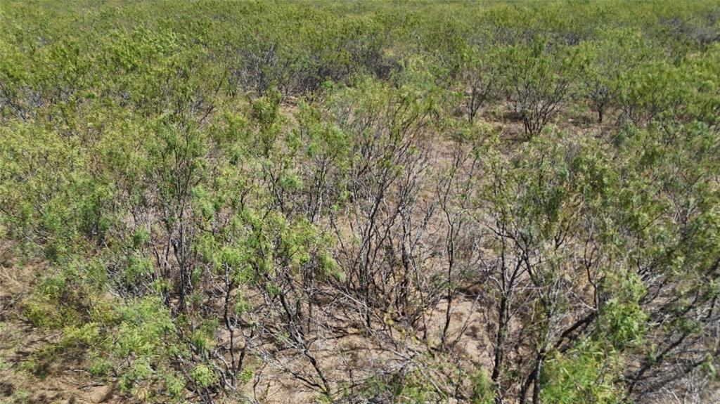 Tbd County Road 3230 Property Photo 3