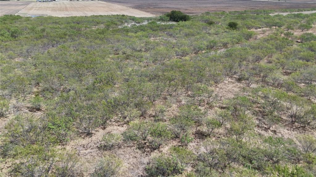 Tbd County Road 3230 Property Photo 5