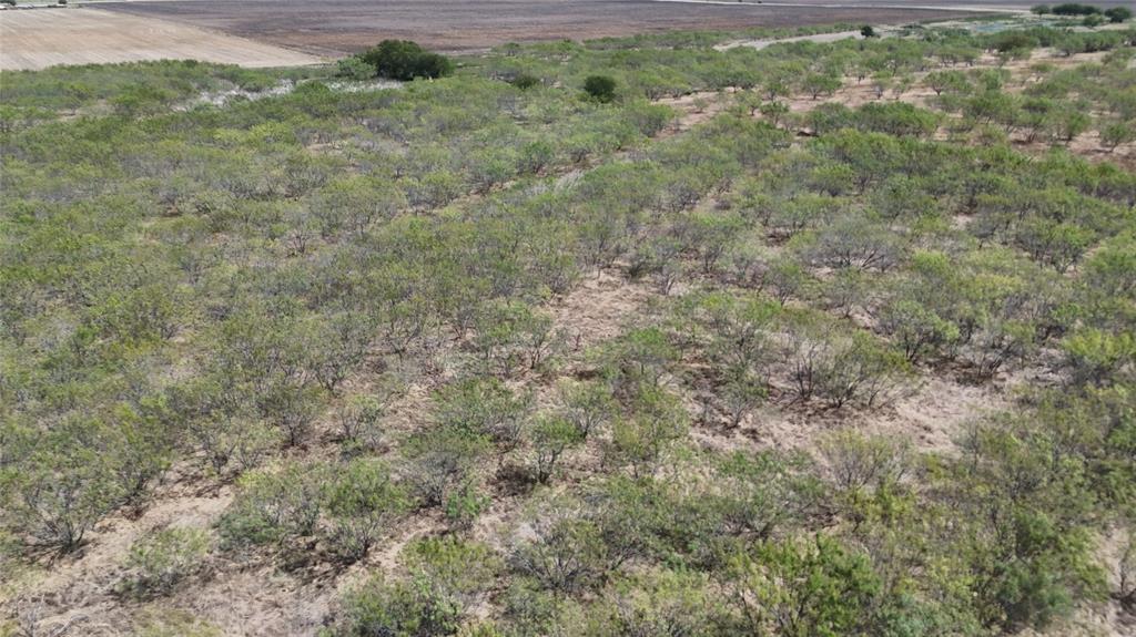 Tbd County Road 3230 Property Photo 6