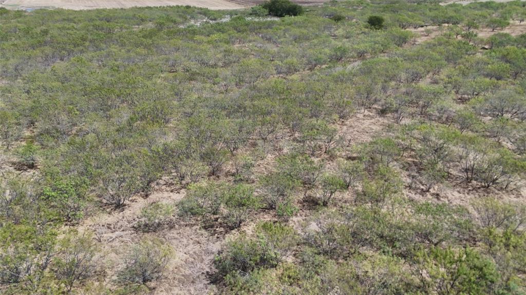 Tbd County Road 3230 Property Photo 7