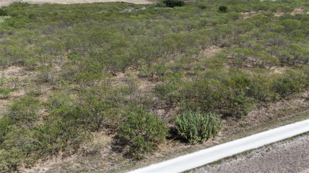 Tbd County Road 3230 Property Photo 8