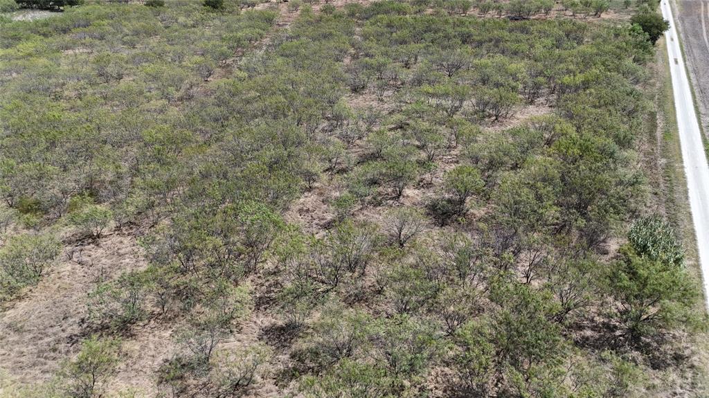Tbd County Road 3230 Property Photo 9