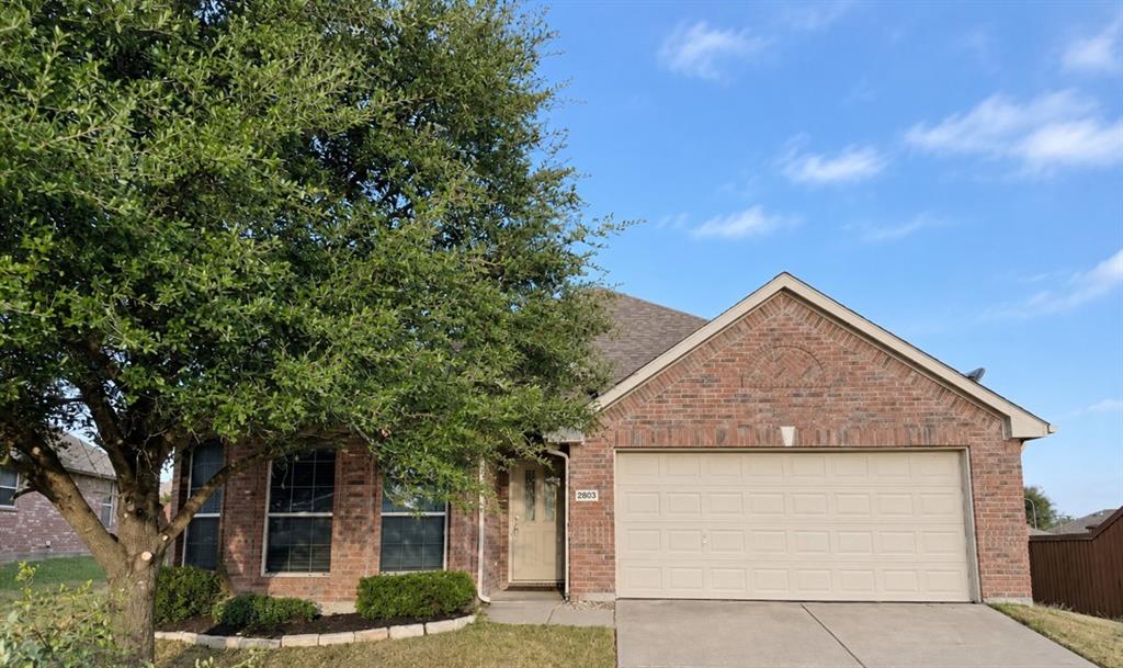 2803 Arabian Lane