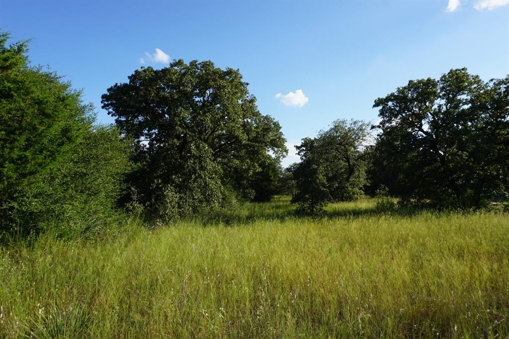 12641 Private Road 5104 Property Photo 1