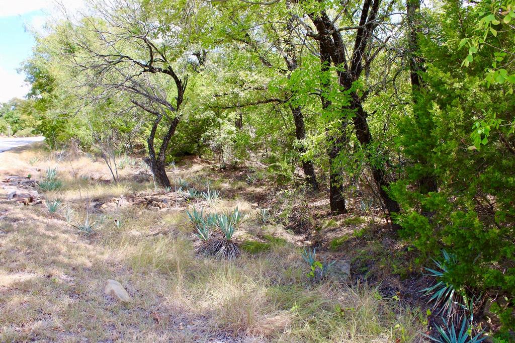 Tbd Arts Way Property Photo 13