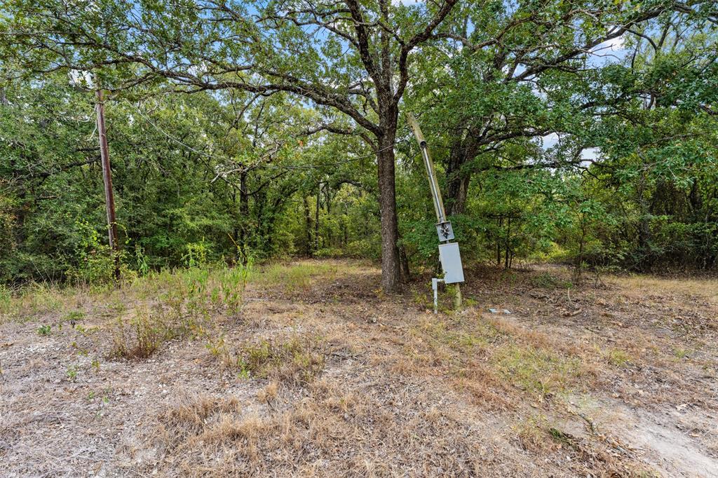 172 M Burton Street Property Photo 19