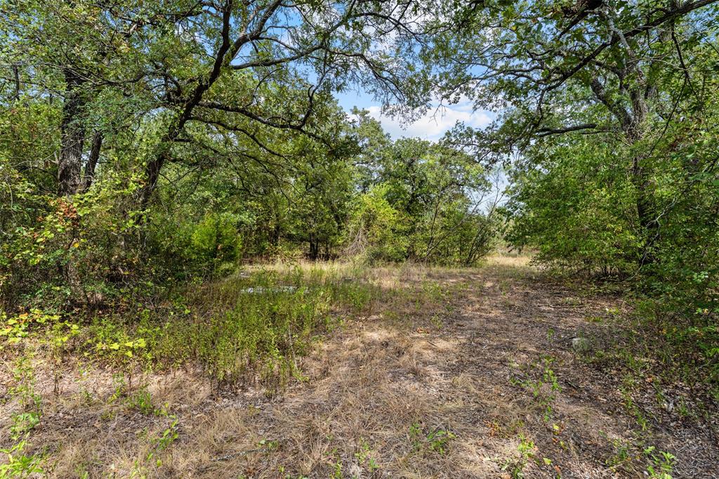 172 M Burton Street Property Photo 22