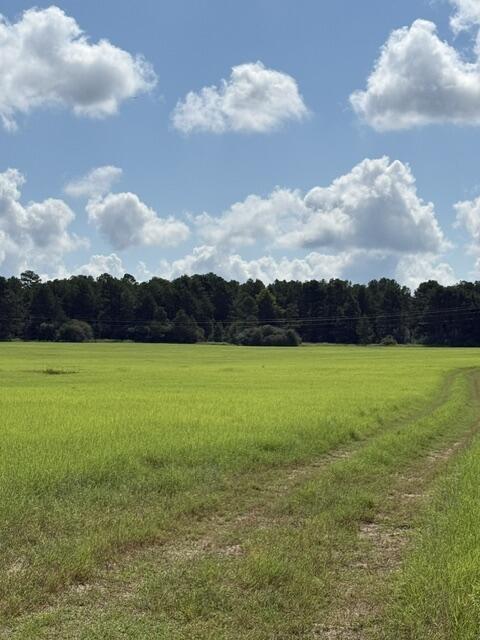 0 An Cnounty Road 1231 Property Photo 1