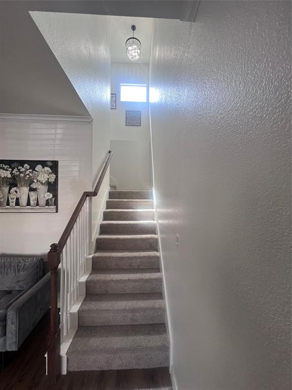 5420 Galante Lane Property Photo 12