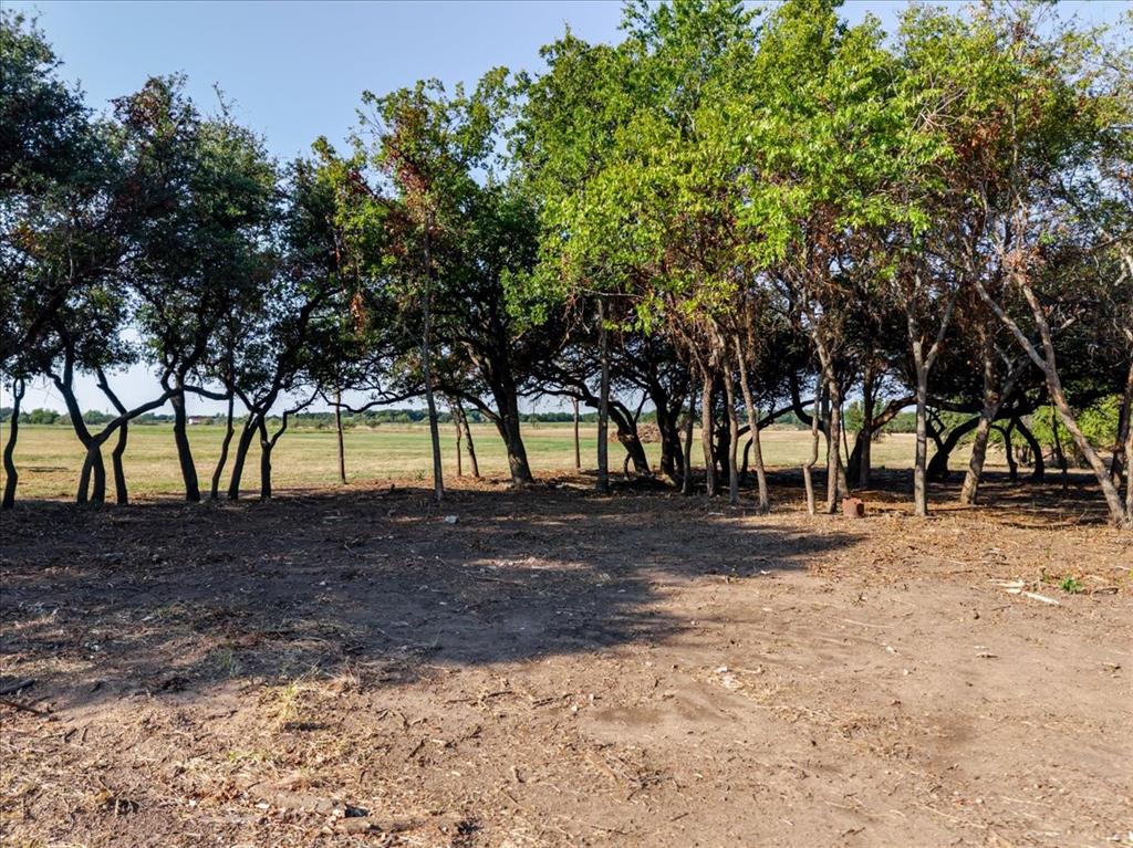 2768 Live Oak Road Property Photo 6