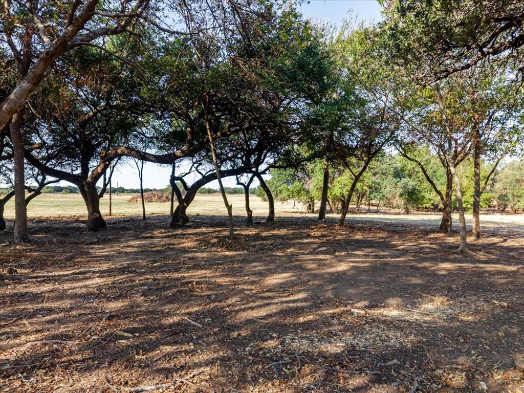 2768 Live Oak Road Property Photo 8