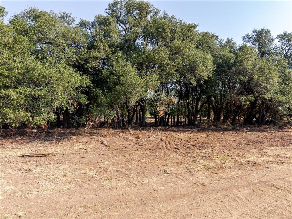 2768 Live Oak Road Property Photo 20