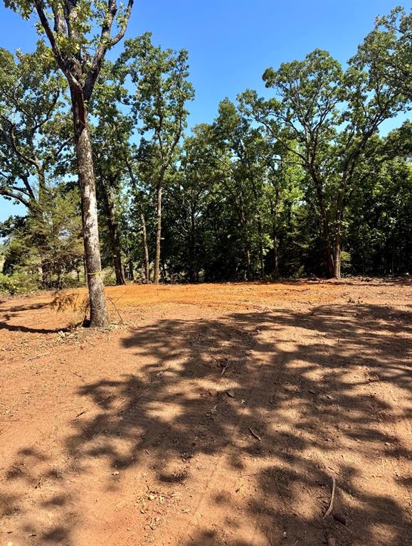 Tbd Cedarpark Place Property Photo 2