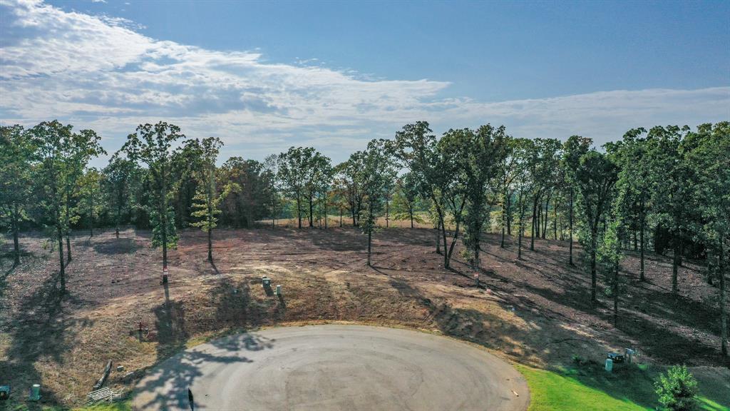 Tbd Cedarpark Place Property Photo 4