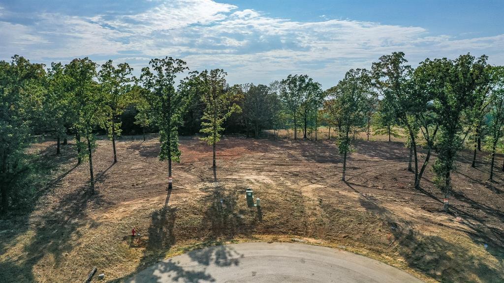 Tbd Cedarpark Place Property Photo 5