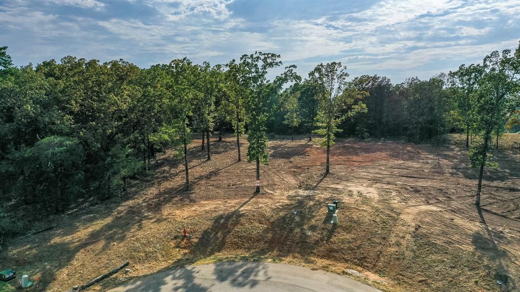 Tbd Cedarpark Place Property Photo 7