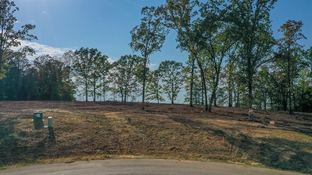 Tbd Cedarpark Place Property Photo 11