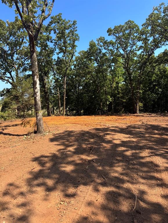 Tbd Cedarpark Place Property Photo 14