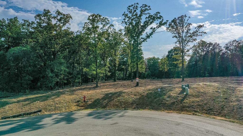 Tbd Cedarpark Place Property Photo 16