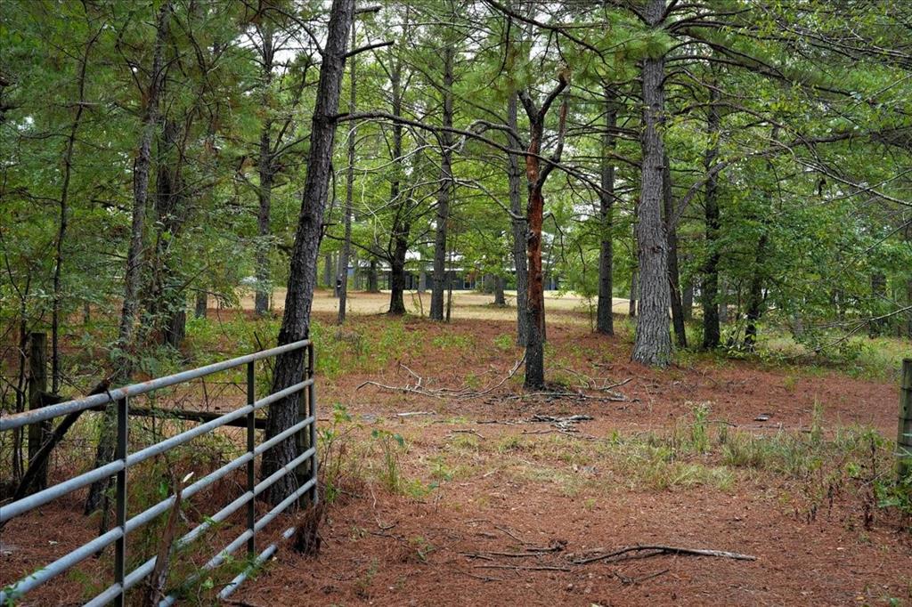 448 County Road 3955 Property Photo 34