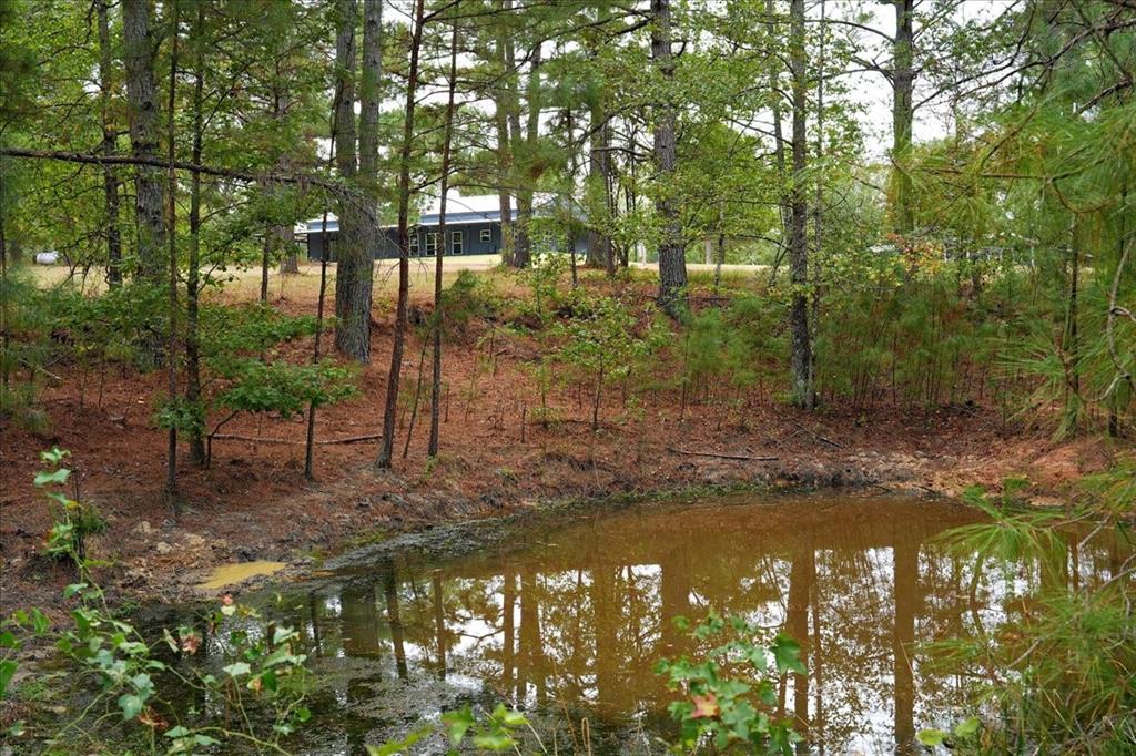 448 County Road 3955 Property Photo 35