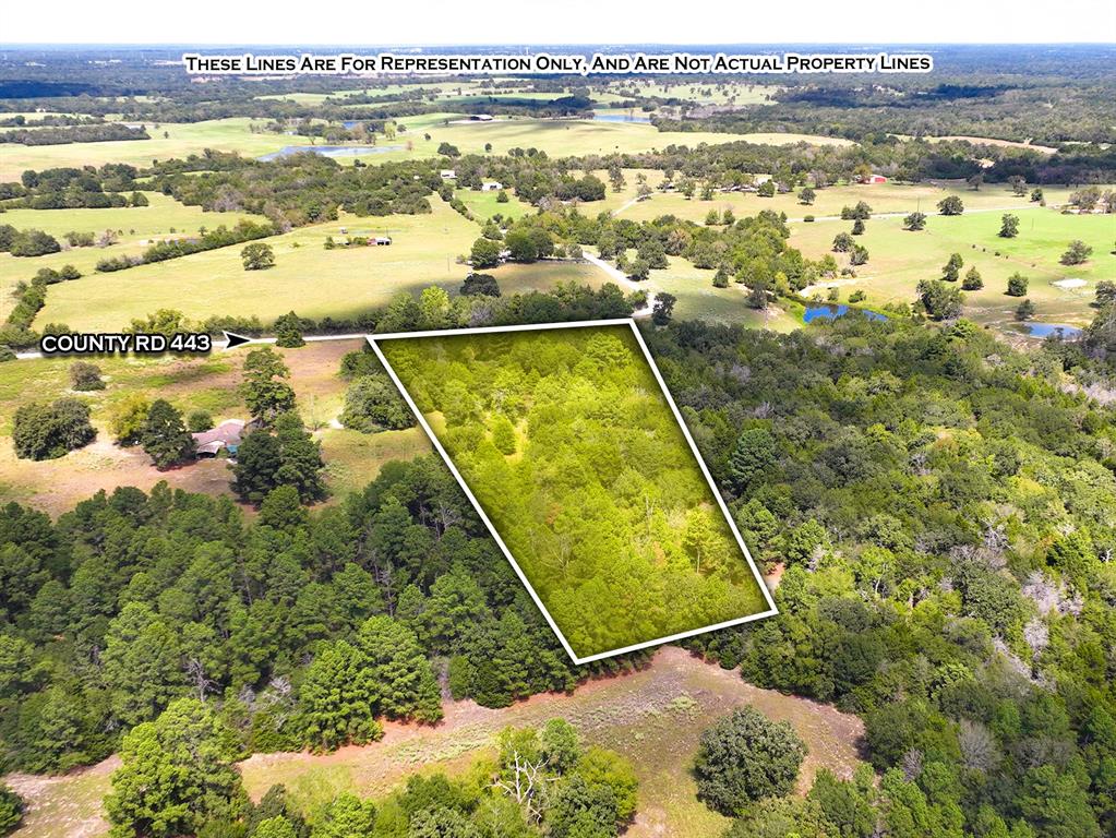 18064 County Road 443 Property Photo 3