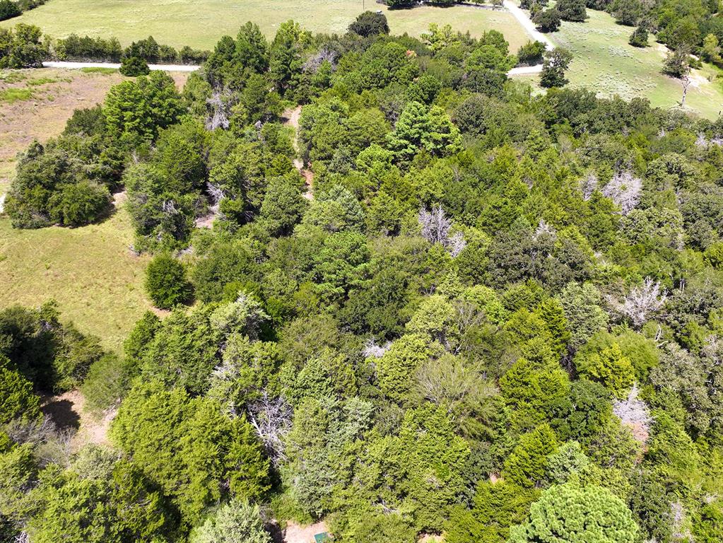 18064 County Road 443 Property Photo 6