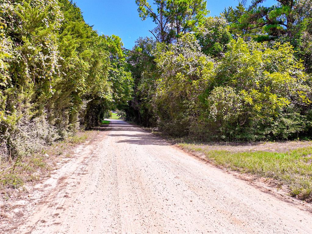 18064 County Road 443 Property Photo 8