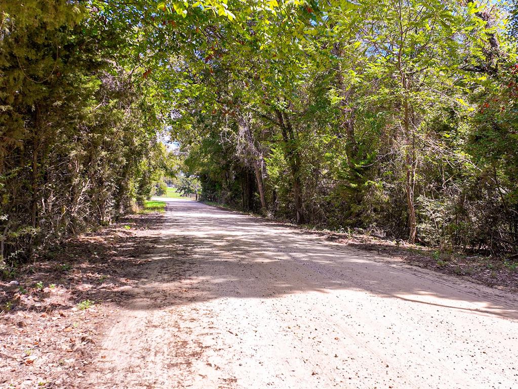 18064 County Road 443 Property Photo 9