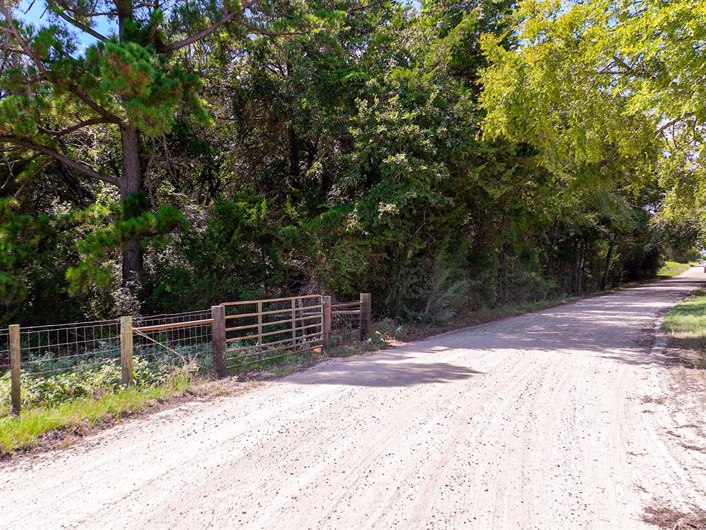 18064 County Road 443 Property Photo 10