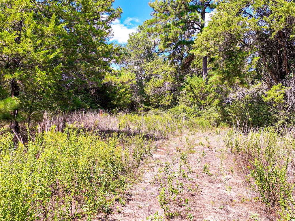 18064 County Road 443 Property Photo 11