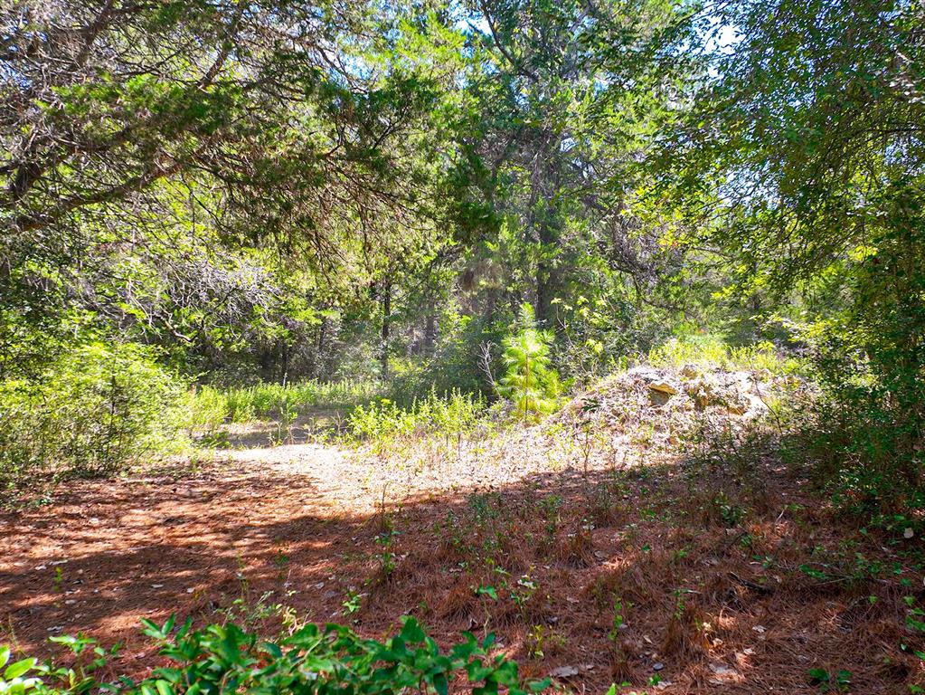 18064 County Road 443 Property Photo 12