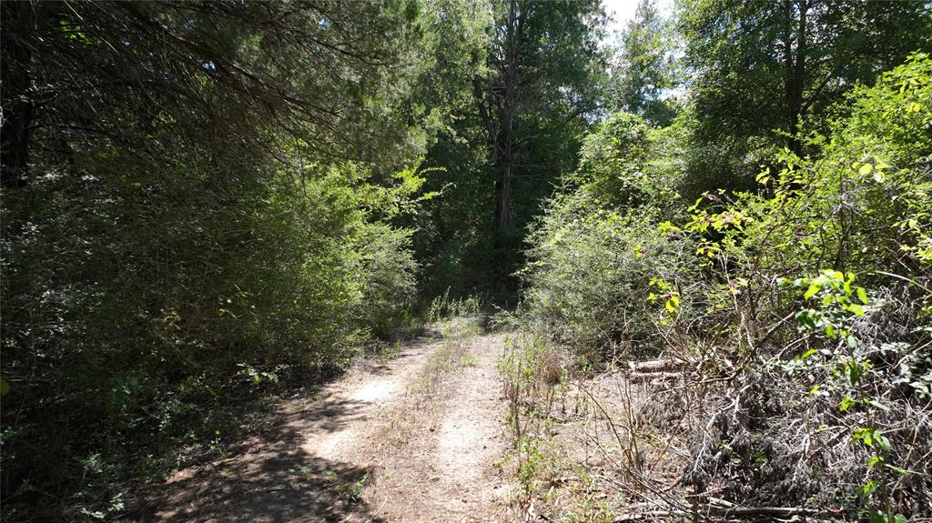 18064 County Road 443 Property Photo 13