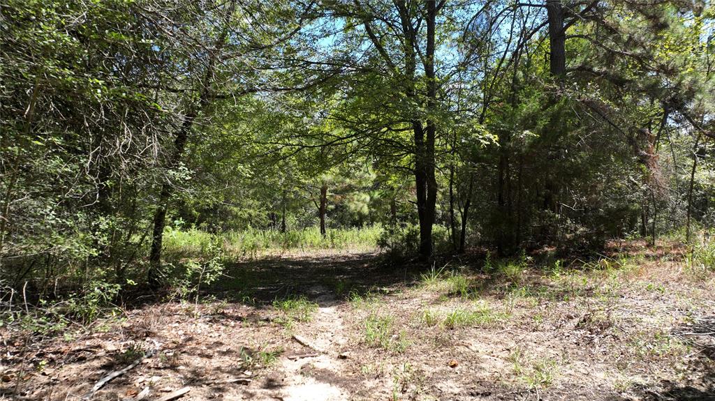 18064 County Road 443 Property Photo 14