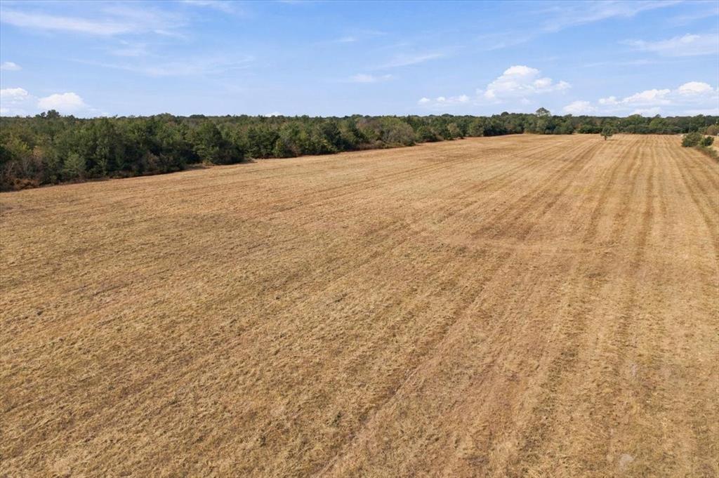 Ybd Farm Road 273 Property Photo 12